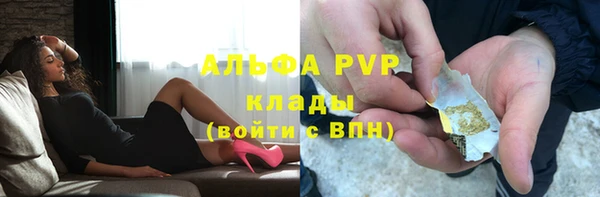 индика Приозерск