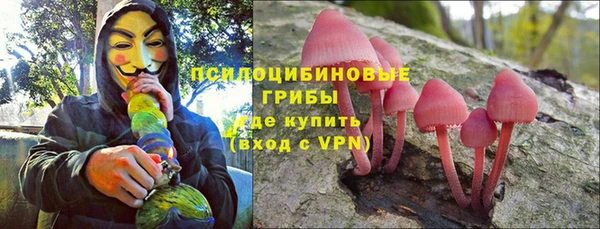 ешки Верея