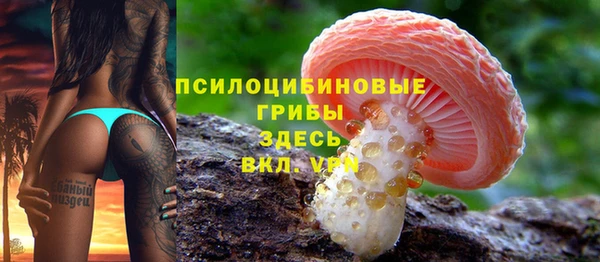 МДМА Верхний Тагил