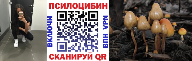 купить   hydra ONION  Галлюциногенные грибы ЛСД  Сосногорск 